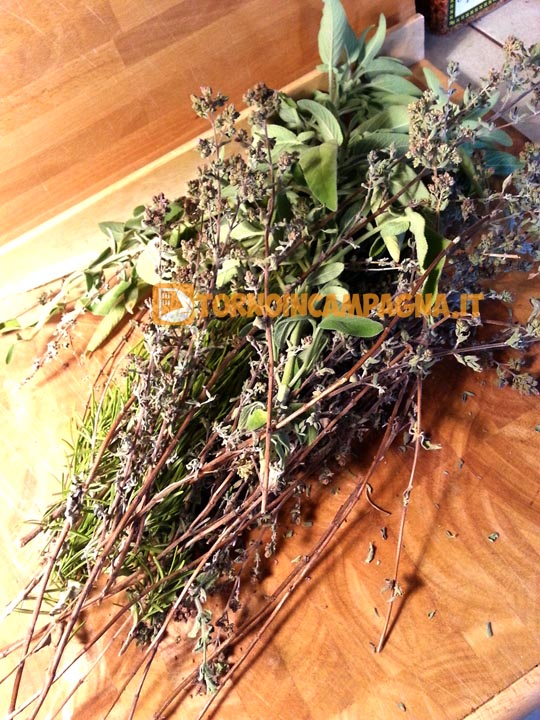 Sale aromatizzato un concentrato di aromi. Torno in campagna
