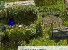 copertina orto in montagna