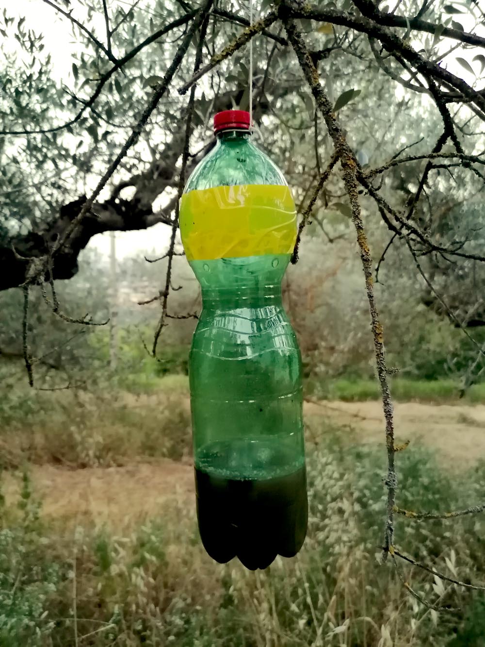 La bottiglia completata con il nastro adesivo giallo.