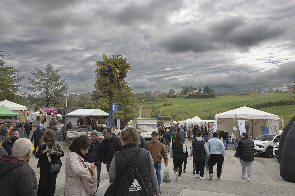 L'ingresso ad Agricollina